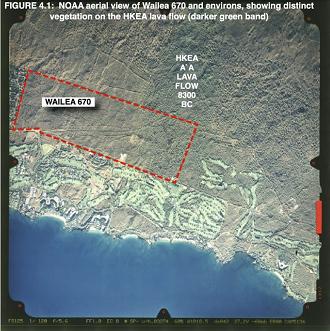 aerial view of makena